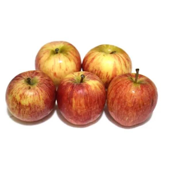 Apple Royal Gala, South Africa