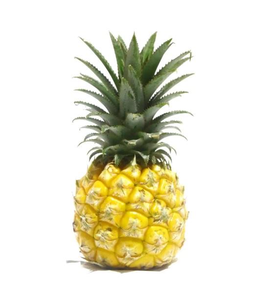 Baby Pineapple, South Africa