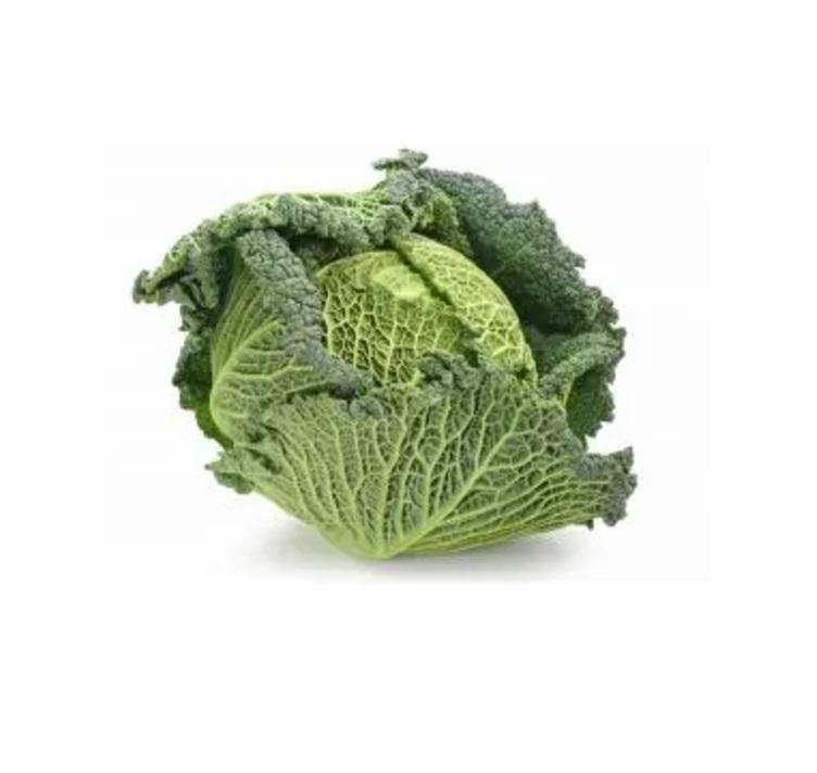Cabbage Savoy, Netherlands - 1 to 1.2 kg