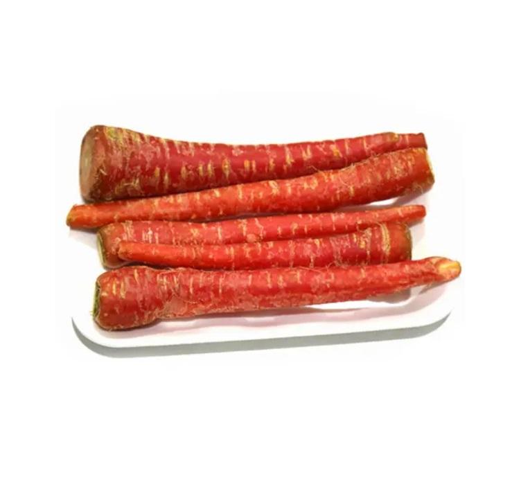 Carrots Red,Pakistan - 500g