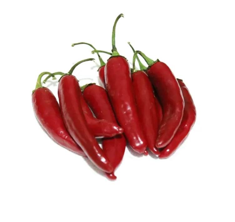 Chilli Long Red, Iran - 250g
