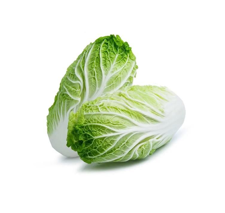 Chinese Cabbage, China - 900g to 1.1 kg