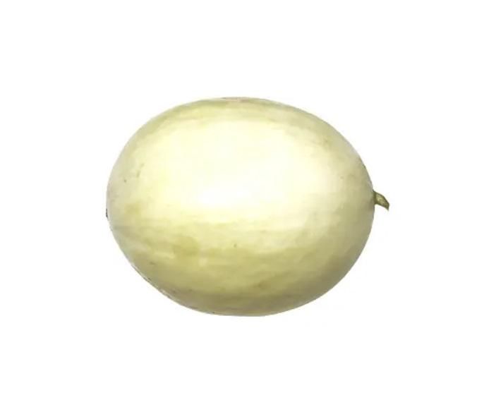 Honeydew Melon, UAE - 1.2 to 1.5 kg