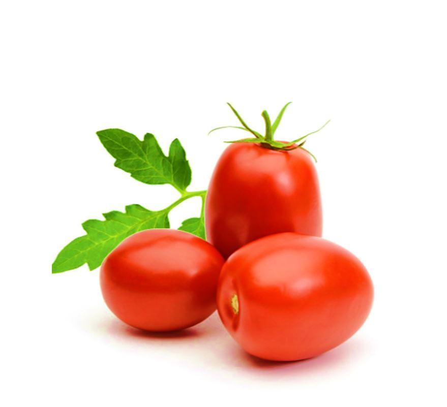 Plum Tomatoes - Holland
