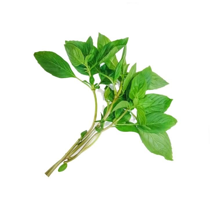 Basil Sweet, Thailand - 100g