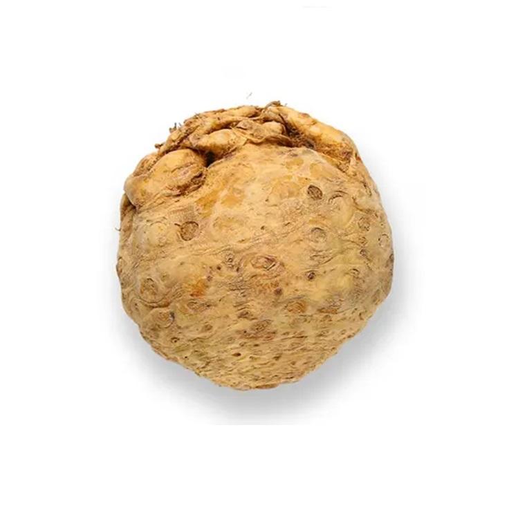 Celery Root, Netherlands - 800 to 1 kg