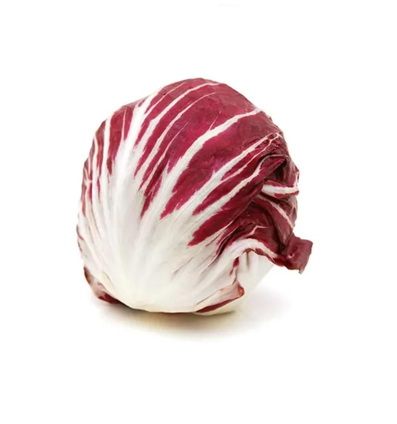 Red Lettuce, Italy - 500g