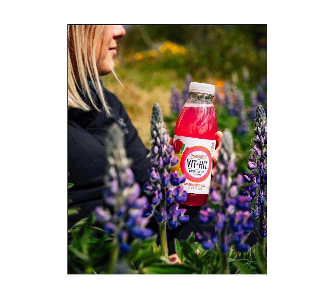 VIT HIT Dragonfruit Immunitea - 500 ml x 12