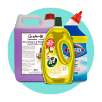 Carpet, Floor & Toilet Cleaner