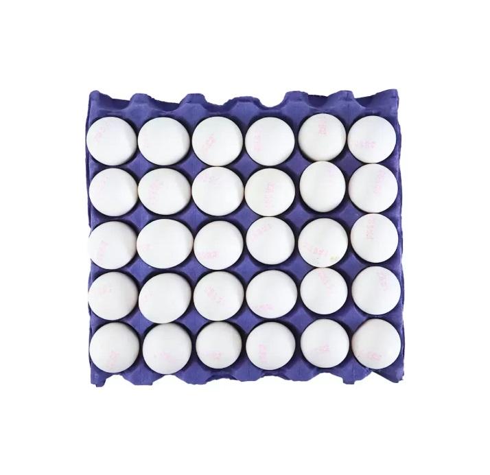 Fresh Eggs, Turkey Medium White - 30 pcs / tray