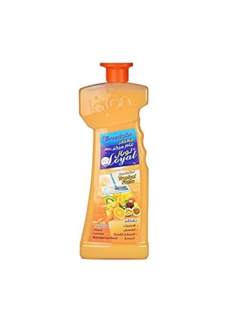 Loyal Multi-Purpose Household Deodorizer Concentrated Gel, Tropical Fruits Scent  - 700 ml